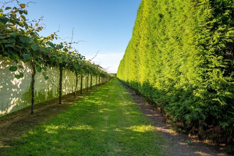 Photo of property in 585d Mclaren Falls Road, Omanawa, Tauranga, 3171