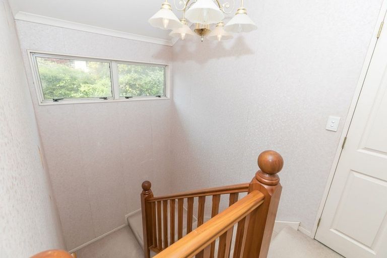 Photo of property in 8a Alison Street, Hamilton Lake, Hamilton, 3204