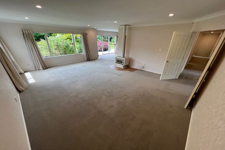 Photo of property in 383 Old Highway, Whakamarama, Tauranga, 3180