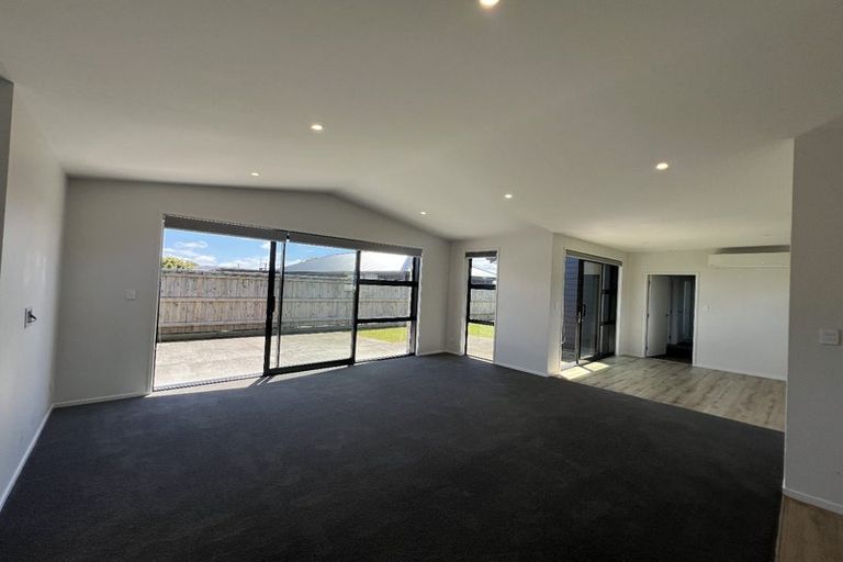 Photo of property in 67 Tainui Street, Levin, 5510