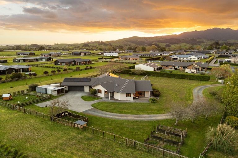 Photo of property in 317b Inglefield Street, Pirongia, Te Awamutu, 3876