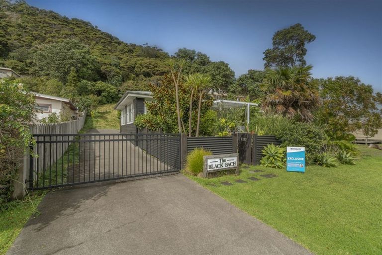 Photo of property in 1133 Purangi Road, Ferry Landing, Whitianga, 3591