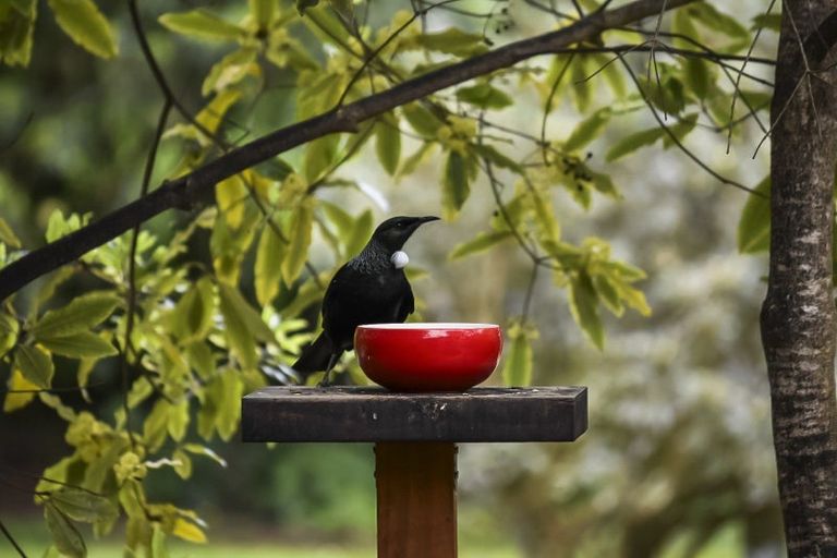 Photo of property in 1348a Pohangina Road, Pohangina, Ashhurst, 4884