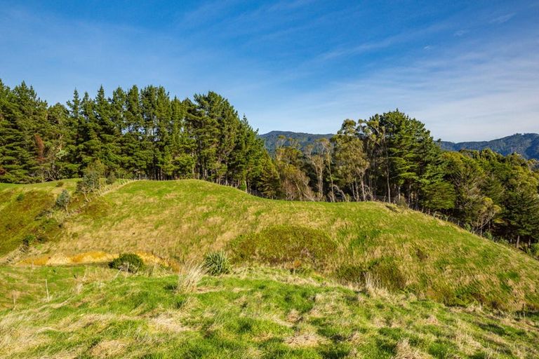 Photo of property in 409 Akatarawa Road, Reikorangi, 5391