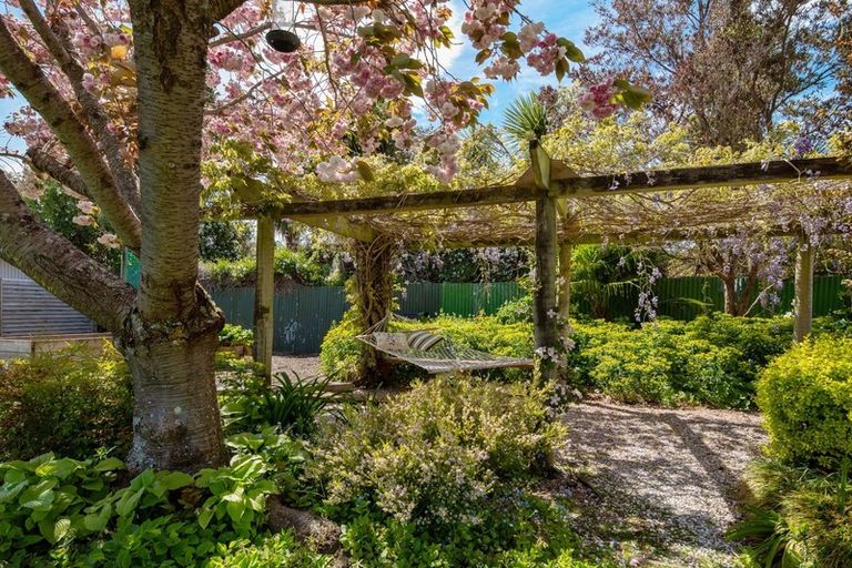 Photo of property in 23 Ward Street, Springlands, Blenheim, 7201