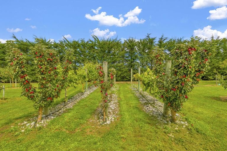 Photo of property in 17 Eyredale Road, Eyrewell, Rangiora, 7476