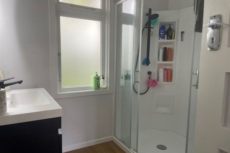 Photo of property in 521 South Road, Calton Hill, Dunedin, 9012