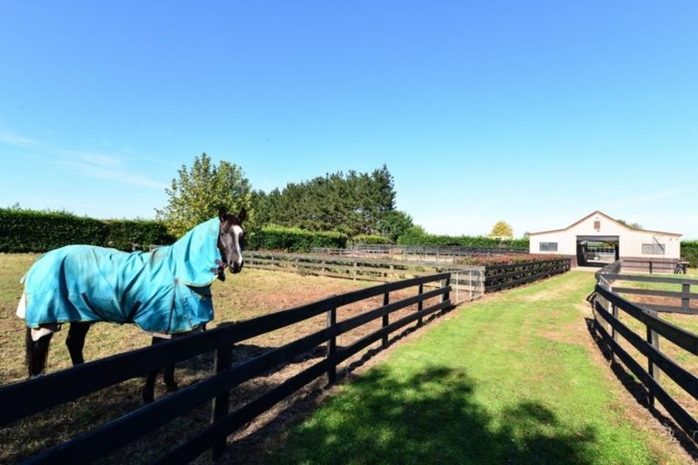 Photo of property in 742 Henry Road, Taupiri, 3791