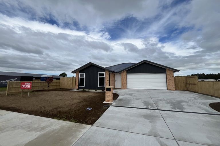 Photo of property in 25 Buxton Crescent, Matamata, 3400