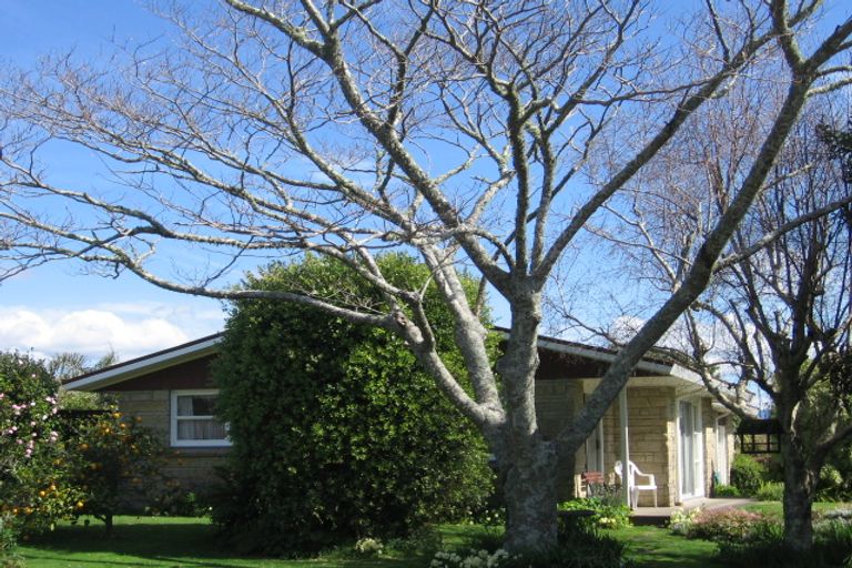 Photo of property in 1 Maxine Place, Matua, Tauranga, 3110