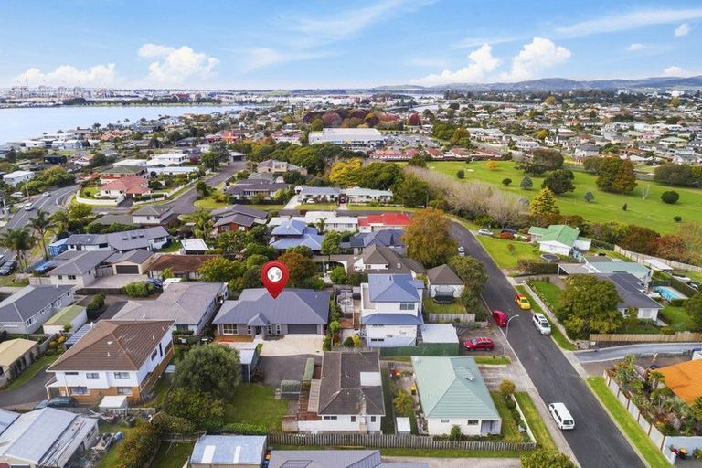 Photo of property in 19a Crescent Road, Otumoetai, Tauranga, 3110