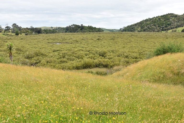 Photo of property in State Highway 12, Paparoa, Maungaturoto, 0583