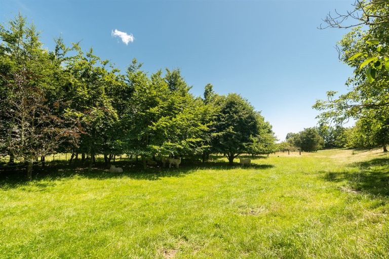 Photo of property in 239 Bartlett Road, Hope, Richmond, 7081