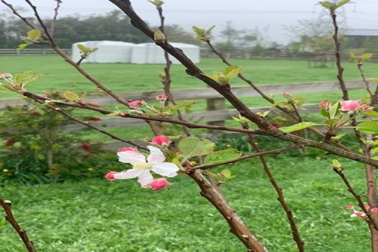 Photo of property in 18 Falls Road, Hunua, Papakura, 2583