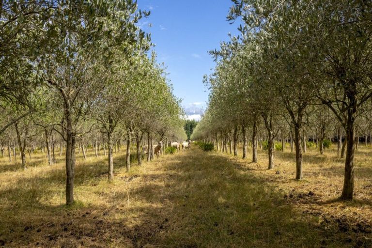 Photo of property in 83 Boundary Road, Upper Plain, Masterton, 5888