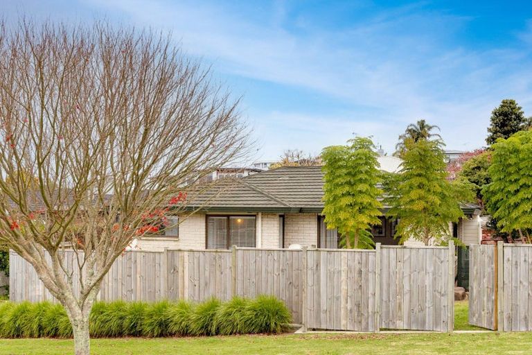 Photo of property in 10a Milton Road, Otumoetai, Tauranga, 3110
