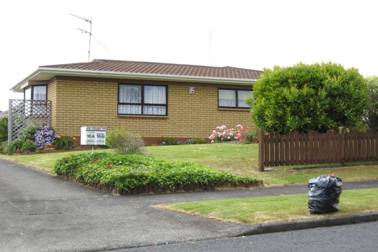 Photo of property in 16b Cooper Street, Pukekohe, 2120