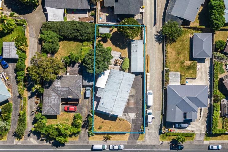 Photo of property in 24 Sycamore Drive, Sunnynook, Auckland, 0620