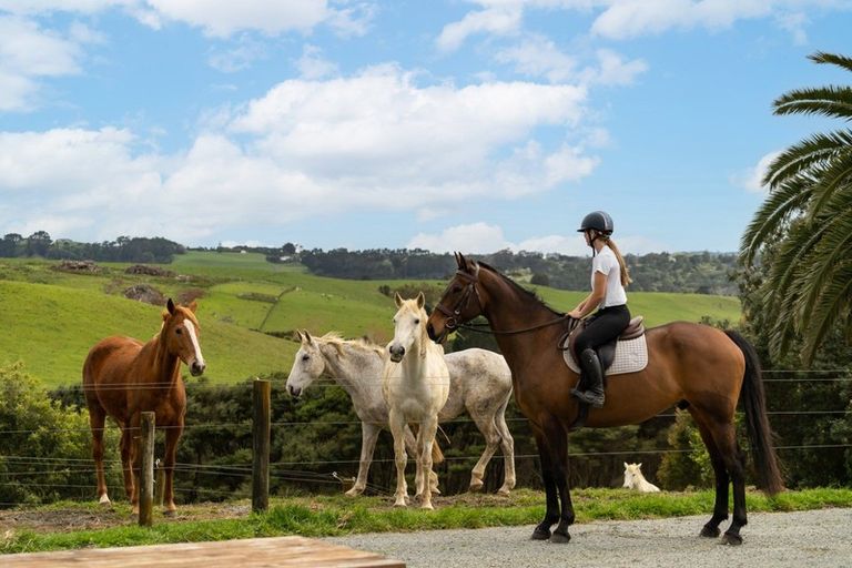 Photo of property in 132 Muriwai Valley Road, Muriwai, Waimauku, 0881