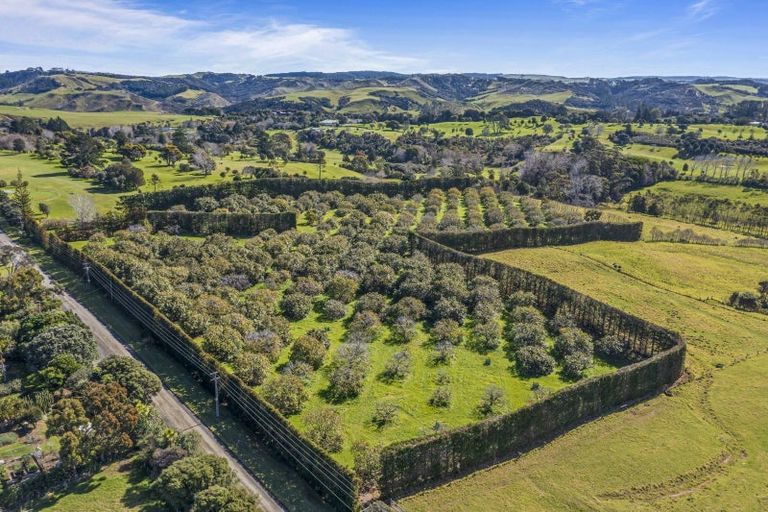 Photo of property in 105 Mairetahi Road, South Head, Helensville, 0874