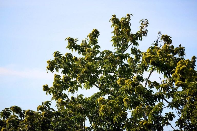 Photo of property in 196c Pukemapu Road, Oropi, 3173