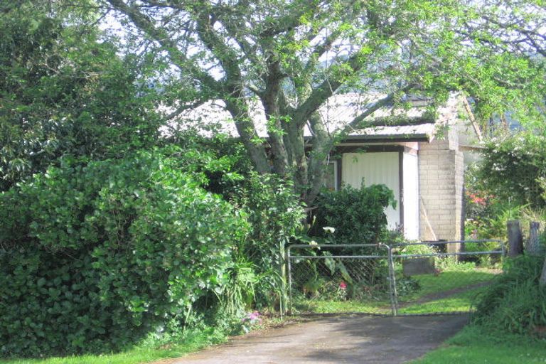 Photo of property in 17 Toomey Street, Waihi, 3610
