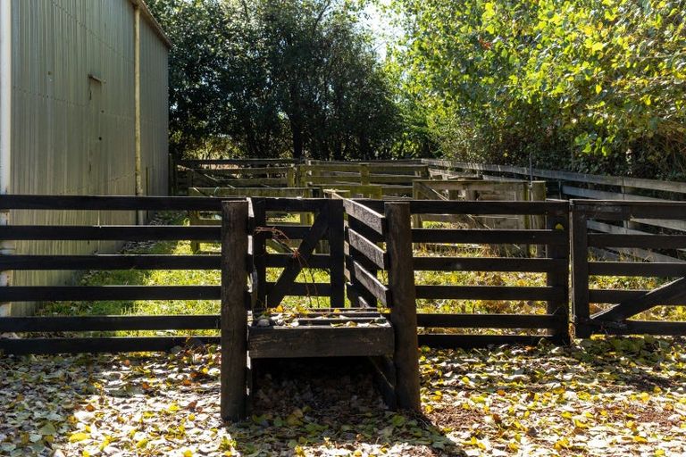 Photo of property in 65 Beach Road East, Elgin, Ashburton, 7777