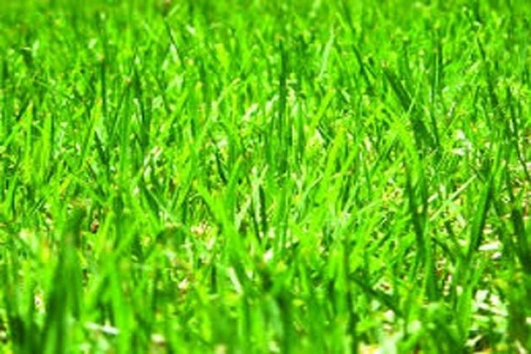 Photo of property in 39 Glencairn Road, Twizel, 7901