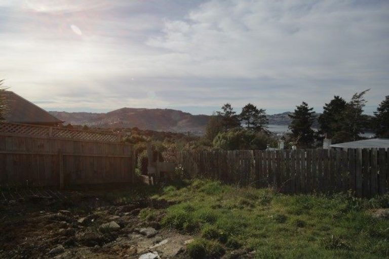 Photo of property in 73a Sligo Terrace, Roslyn, Dunedin, 9010