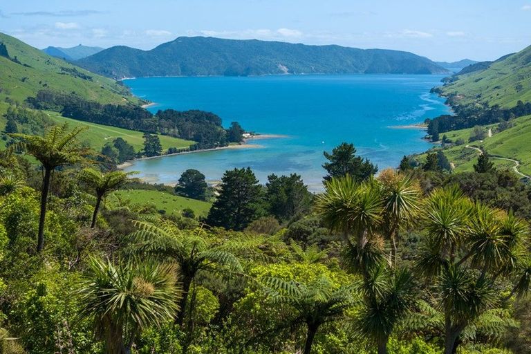 Photo of property in 565 Anakoha Road, Anakoha, Marlborough Sounds, 7284