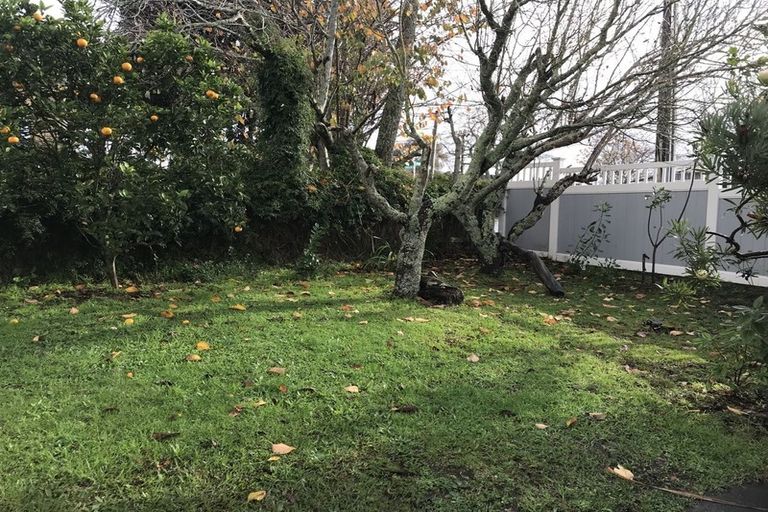 Photo of property in 16 Rimu Street, New Lynn, Auckland, 0600