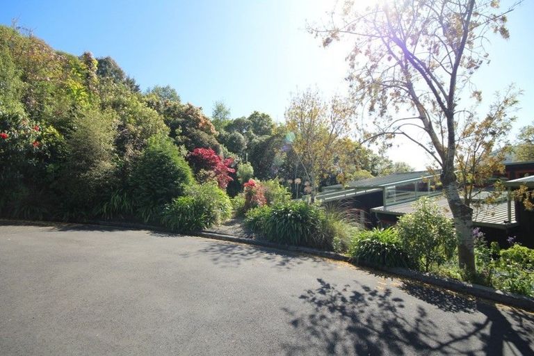 Photo of property in 8a Croydon Street, North East Valley, Dunedin, 9010