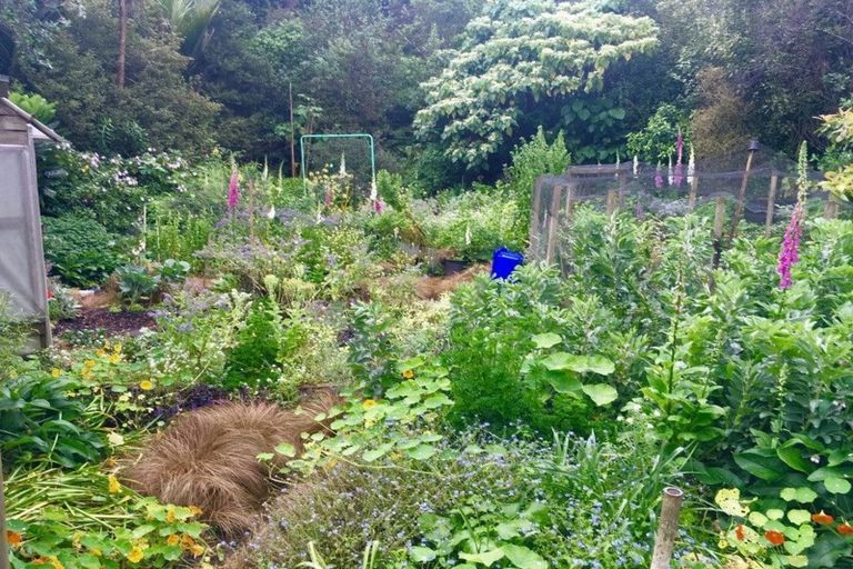 Photo of property in 295 Kanohi Road, Kaukapakapa, 0873