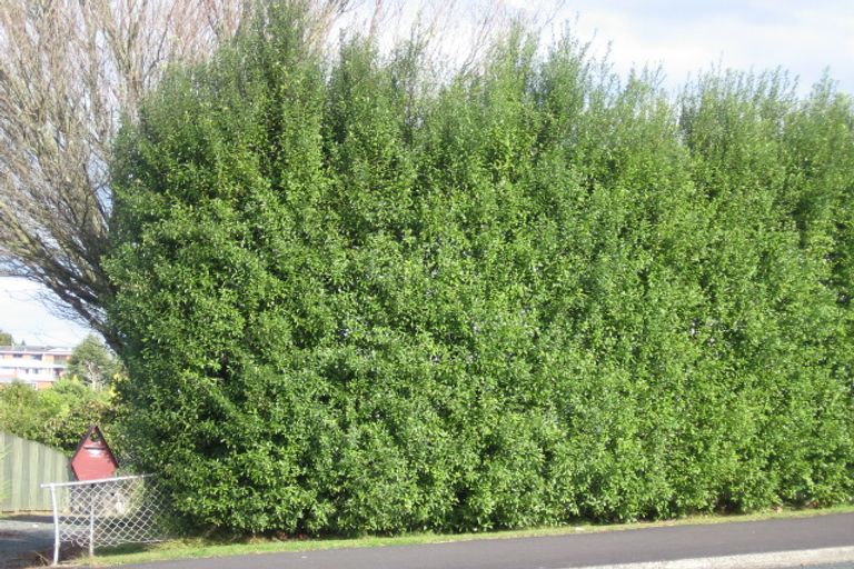 Photo of property in 169 Ellicott Road, Nawton, Hamilton, 3200