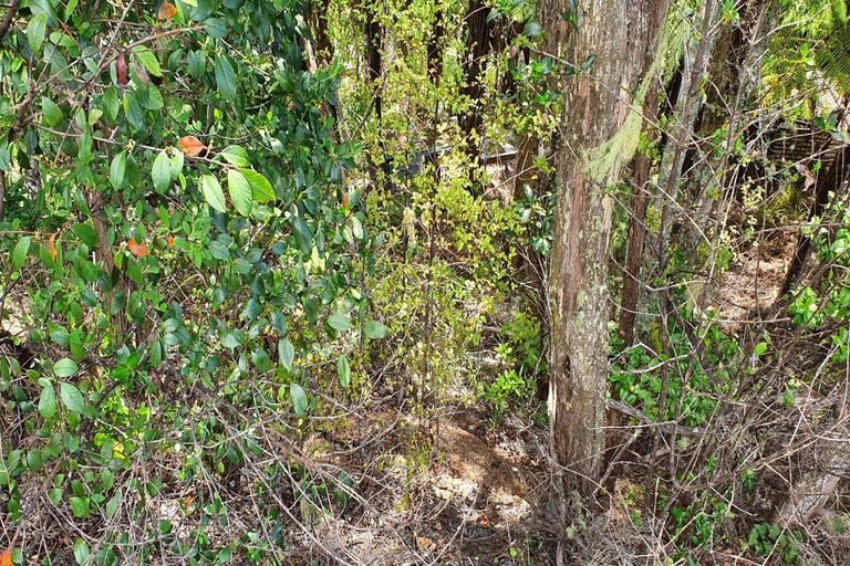 Photo of property in 2b Lyon Street, Opua, 0200