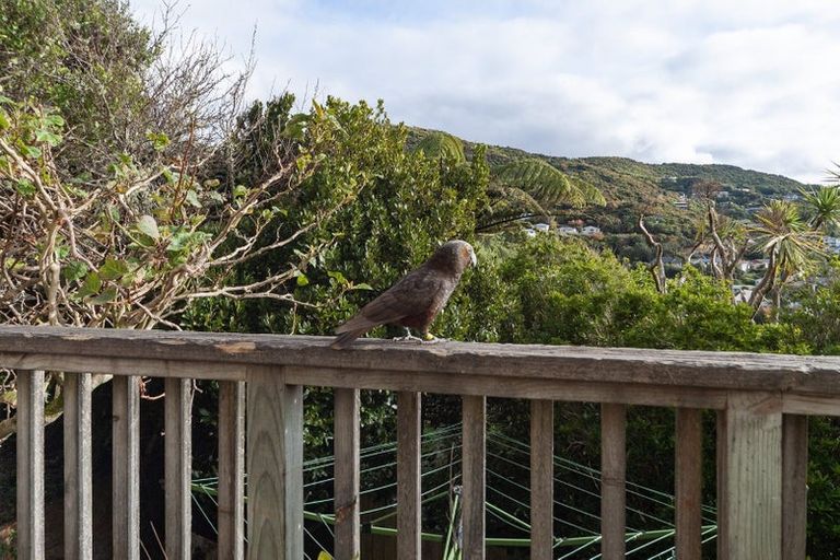 Photo of property in 28 Croydon Street, Karori, Wellington, 6012