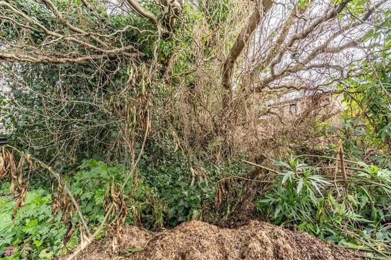 Photo of property in 87 Venus Street, Georgetown, Invercargill, 9812