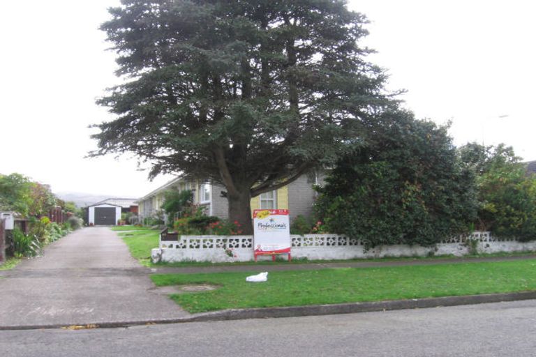 Photo of property in 45a Gordon Street, Avalon, Lower Hutt, 5011
