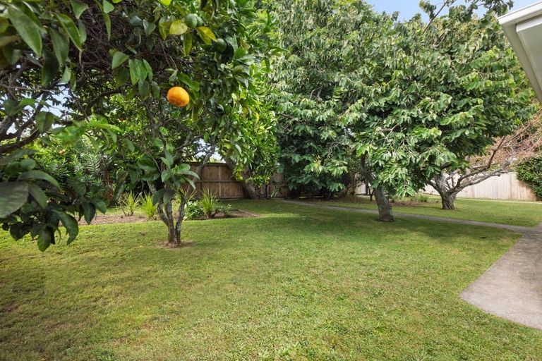 Photo of property in 318 Maungatapu Road, Maungatapu, Tauranga, 3112