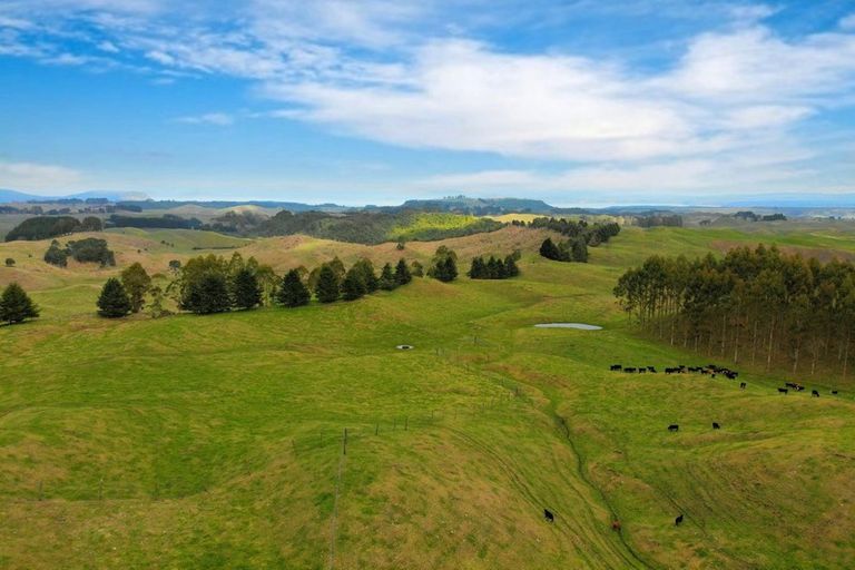 Photo of property in 473 Otake Road, Marotiri, Taupo, 3377