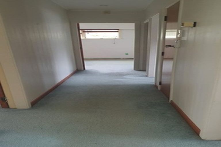 Photo of property in 17 Ottawa Road, Ngaio, Wellington, 6035