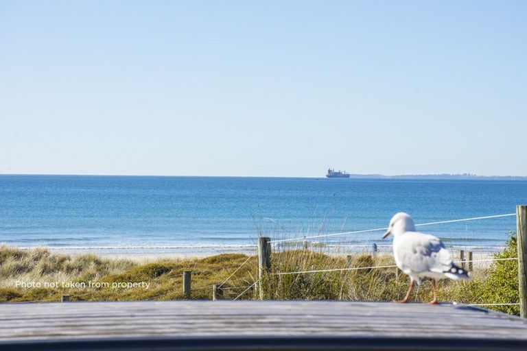 Photo of property in 31b Te Ngaio Road, Mount Maunganui, 3116