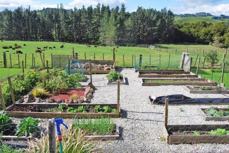 Photo of property in 56 Wattle Lane, Kaiwaka, 0573