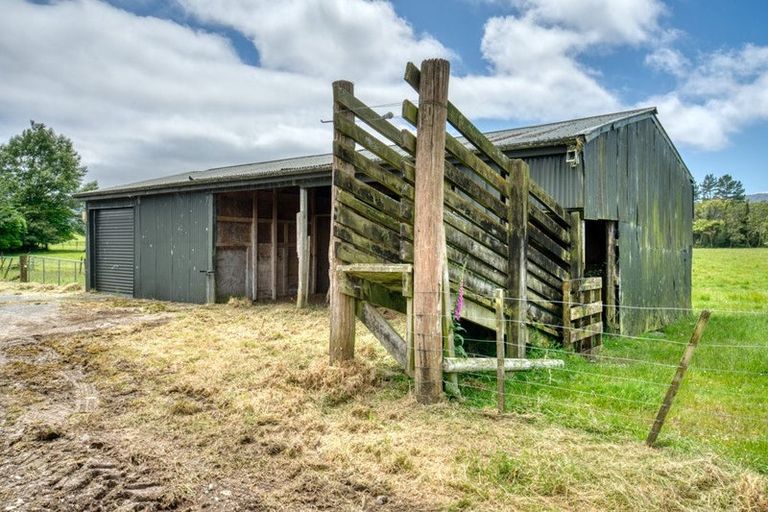 Photo of property in 365 Taylorville Road, Coal Creek, Greymouth, 7802