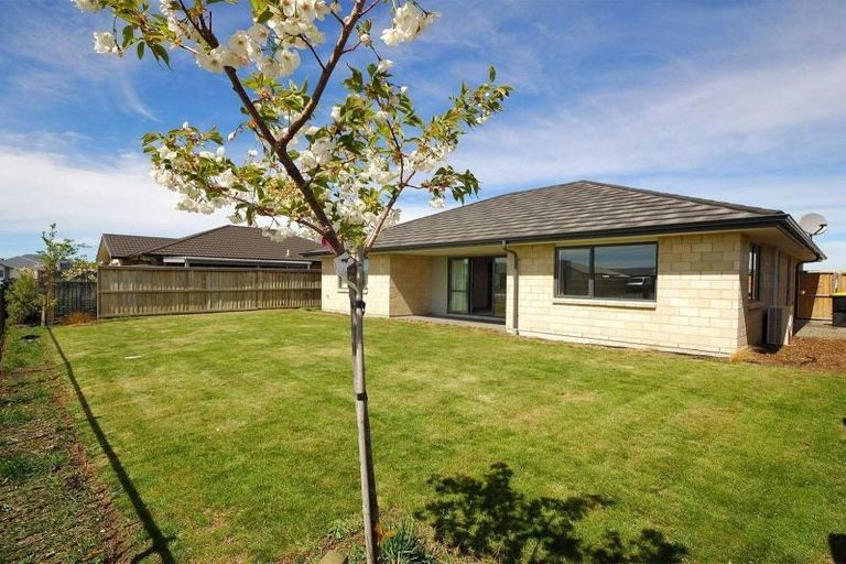 Photo of property in 17a Blackburn Street, Kaiapoi, 7630