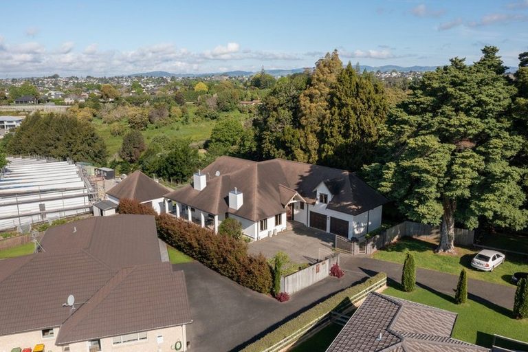 Photo of property in 40d Bethlehem Road, Bethlehem, Tauranga, 3110