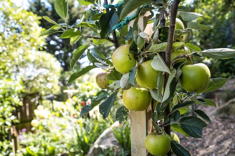 Photo of property in 66 Portobello Road, Musselburgh, Dunedin, 9013