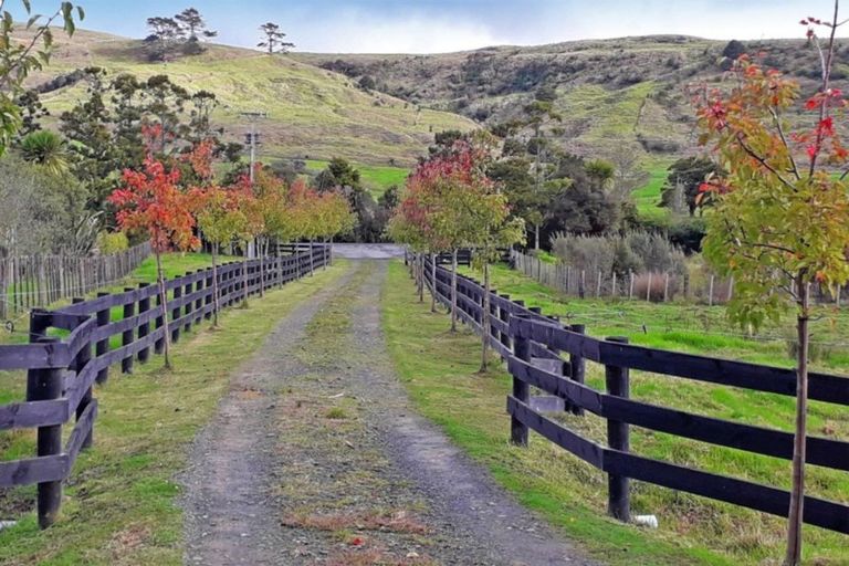 Photo of property in 1281 Whangaripo Valley Road, Whangaripo, Wellsford, 0972