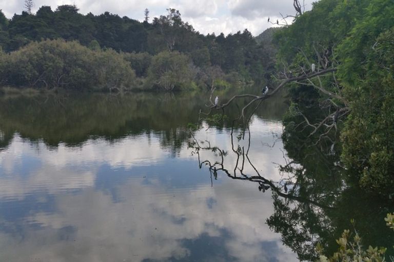 Photo of property in 49 Vale Road, Riverside, Whangarei, 0112