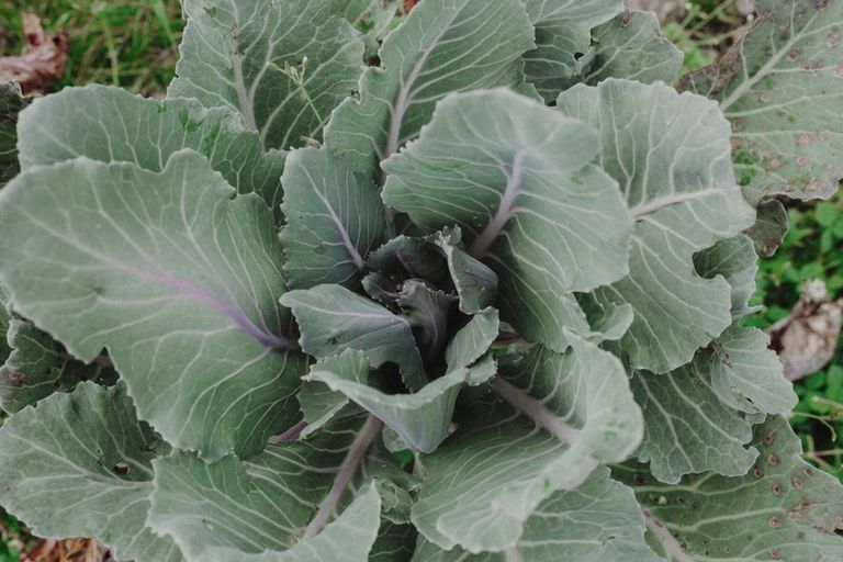 Photo of property in 17 Pekanga Drive, Fox Glacier, 7886